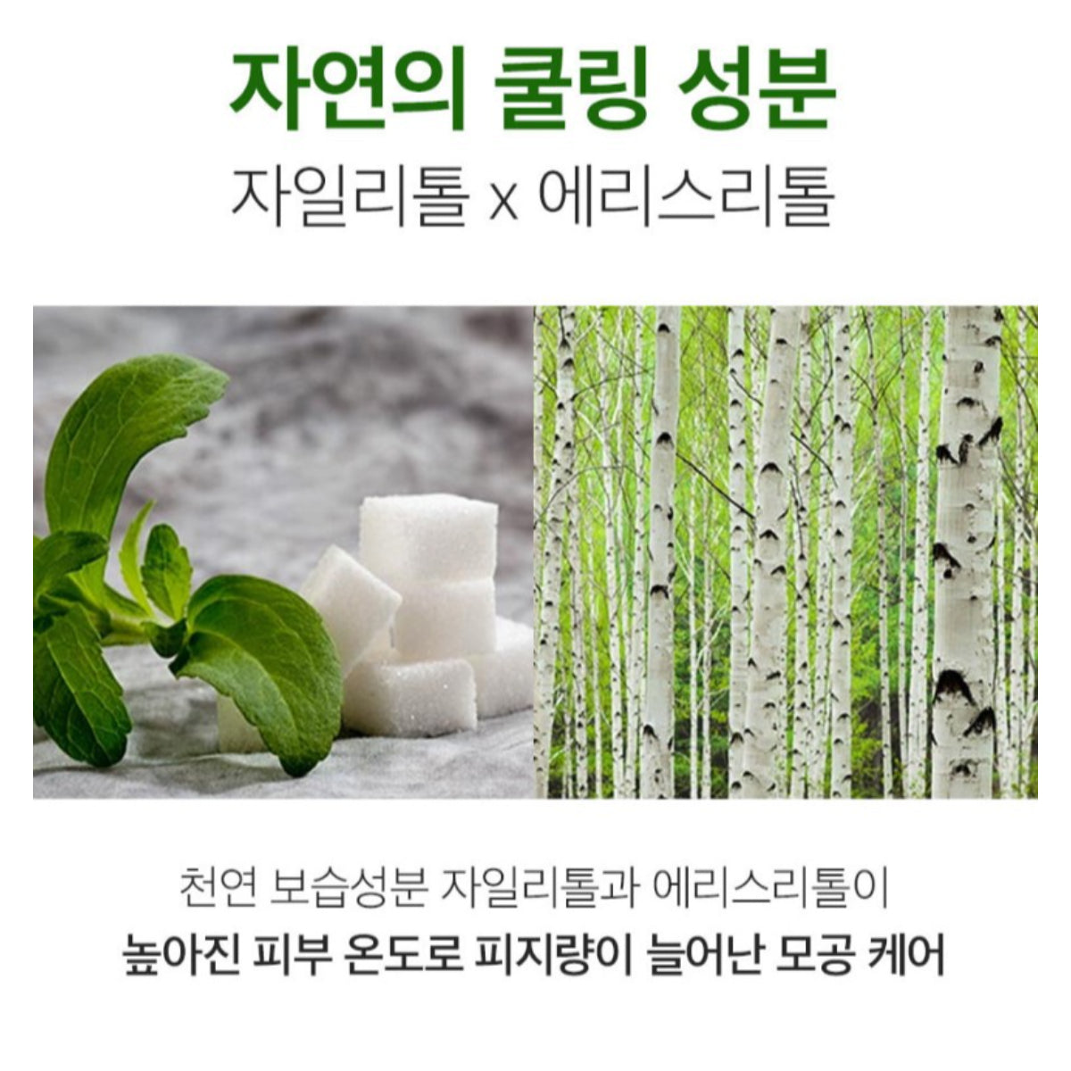 SUNGBOON EDITOR Green Tomato Pore Lifting Ampoule Toner 350ml(11.8 fl.oz.)/bottle Anti Sebum P Contains Borphyrin Collagen PHA Niacinamide / from Seoul, Korea