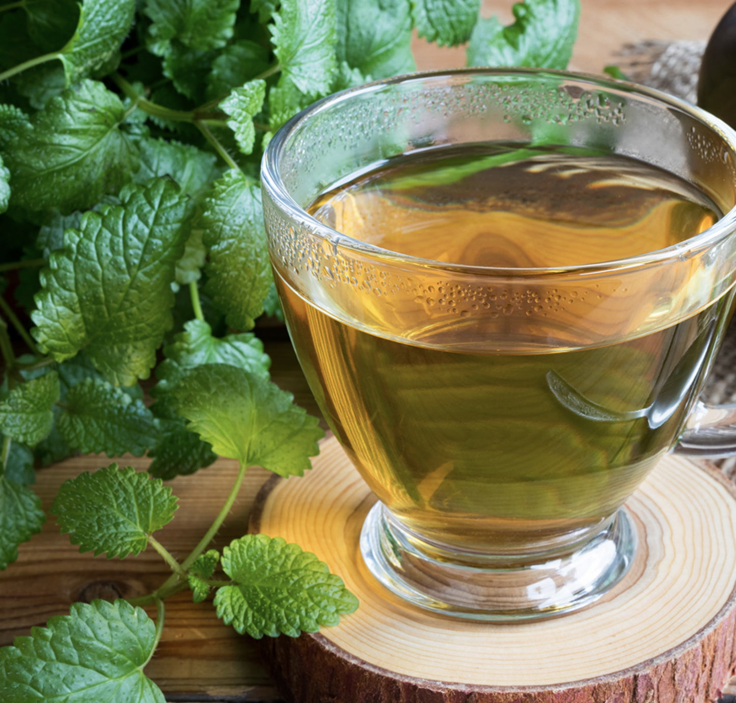 NOK CHA WON Lemon Balm Herbal Tea 60 Tea Bag Pyramid Tea Bag Large Capacity / from Seoul, Korea