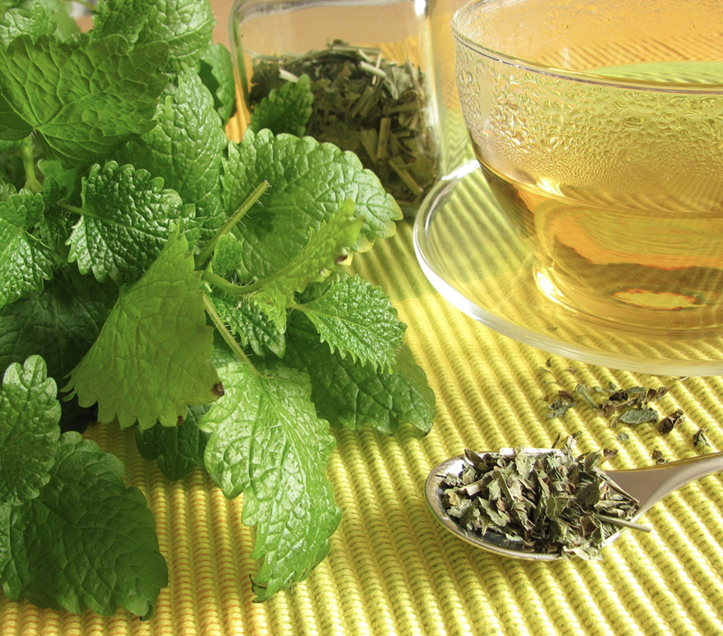 NOK CHA WON Lemon Balm Herbal Tea 60 Tea Bag Pyramid Tea Bag Large Capacity / from Seoul, Korea