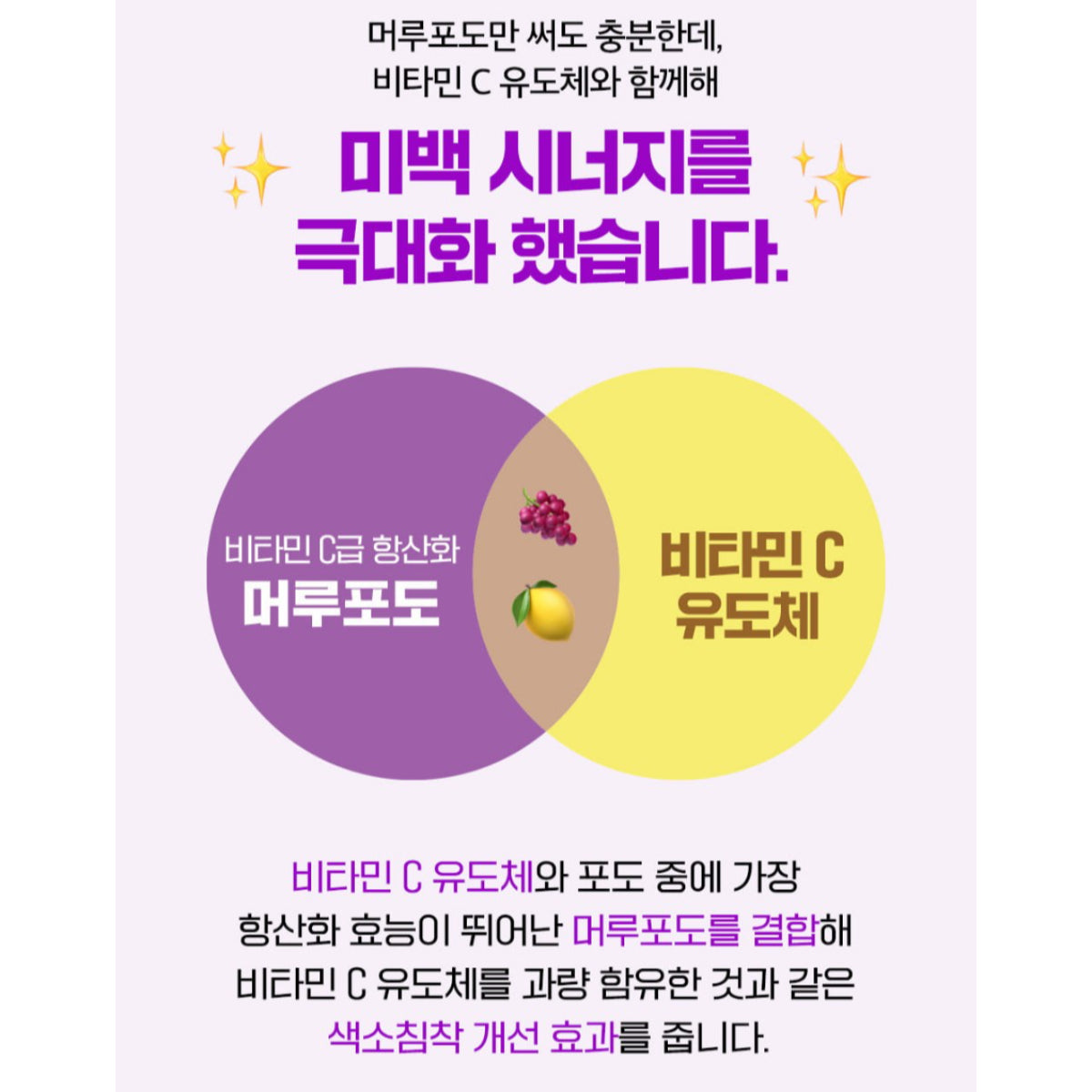 SUNGBOON EDITOR Wild Grape Vita C Dark Spot Cream 50ml (1.69 fl.oz.) Vitamin C Tranexamic Acid Niacinamide Cica / from Seoul, Korea