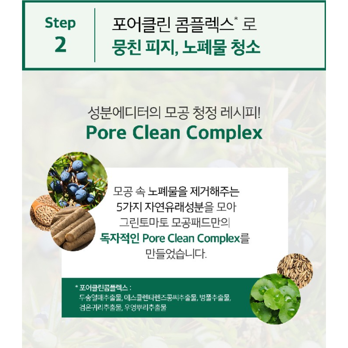 SUNGBOON EDITOR Green Tomato Pore Peeling Jumbo Pat 60 sheets/bottle Hypoallergenic pore tightening anti-sebum skin soothing moisturizing / from Seoul, Korea