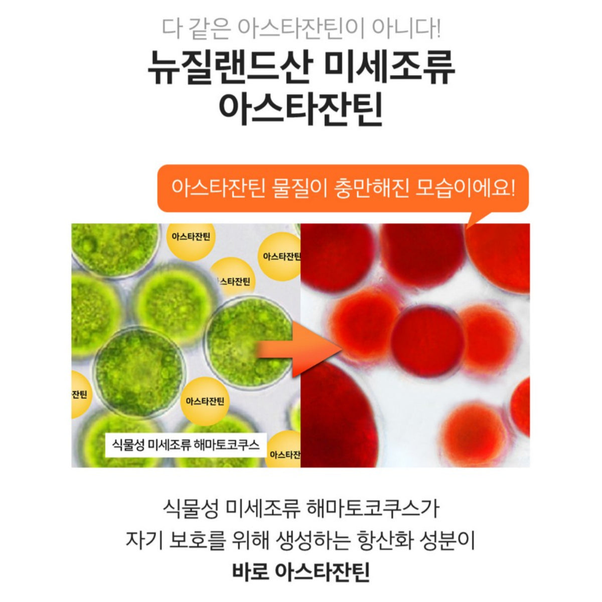 SUNGBOON EDITOR Active Marine Astaxanthin Capsule Serum 30ml/bottle Spots, freckles, blemishes, skin tone, antioxidant, collagen, hyaluronic acid ceramide / from Seoul, Korea