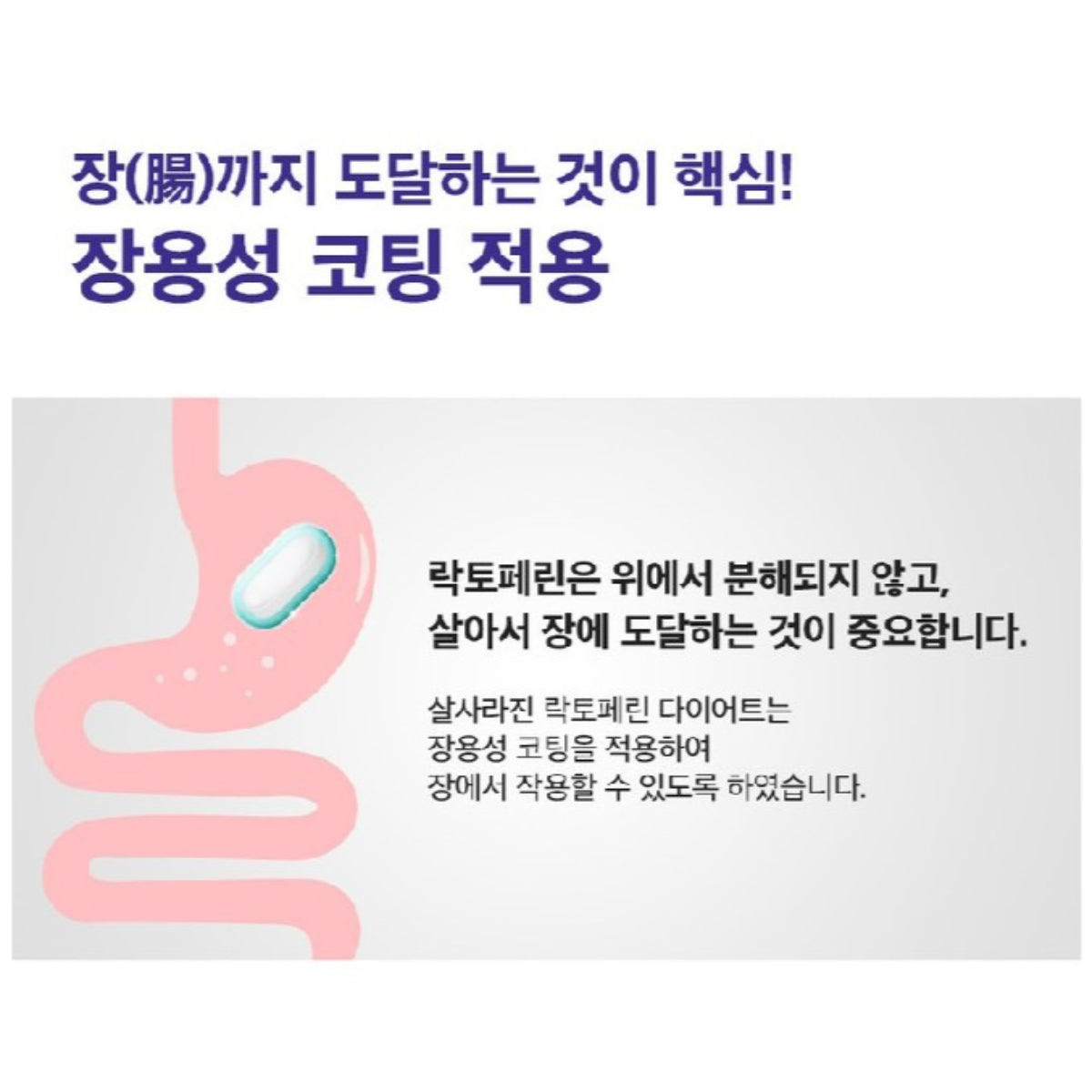 HUONS Salsarazine Lactoferrin Diet Enteric Colostrum Protein 14 tablets/Box Girl's Day Yura's PICK PPAEBAR / from Seoul, Korea