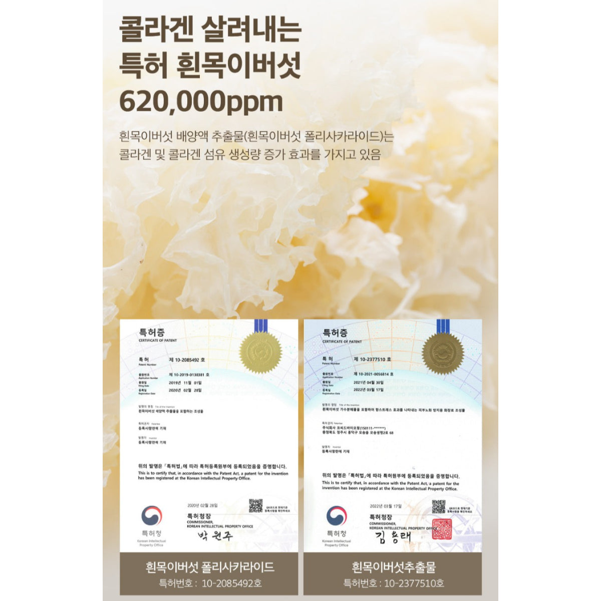 SUNGBOON EDITOR Youngran White Mushroom Collagen Facegloss 30ml/bottle Whitening Wrinkle Care Anti-aging Lifting Firming Pore Care / from Seoul, Korea