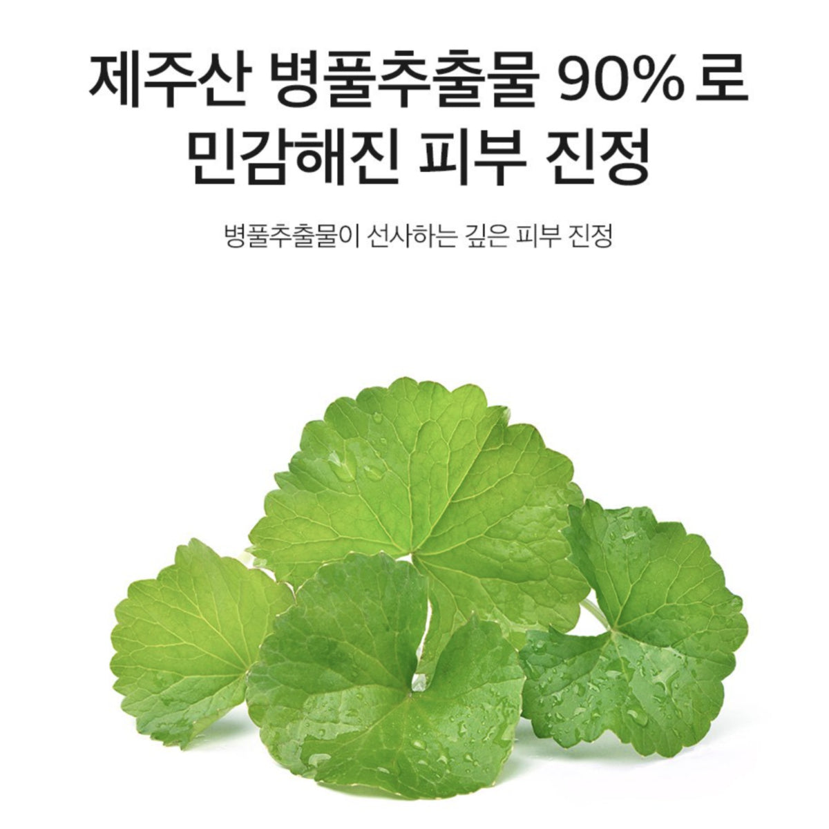 DERMA FACTORY Cica 90% Water Essence 150ml Skin Soothing Moisturizing Repair Centella Asiatica Extract / from Seoul, Korea