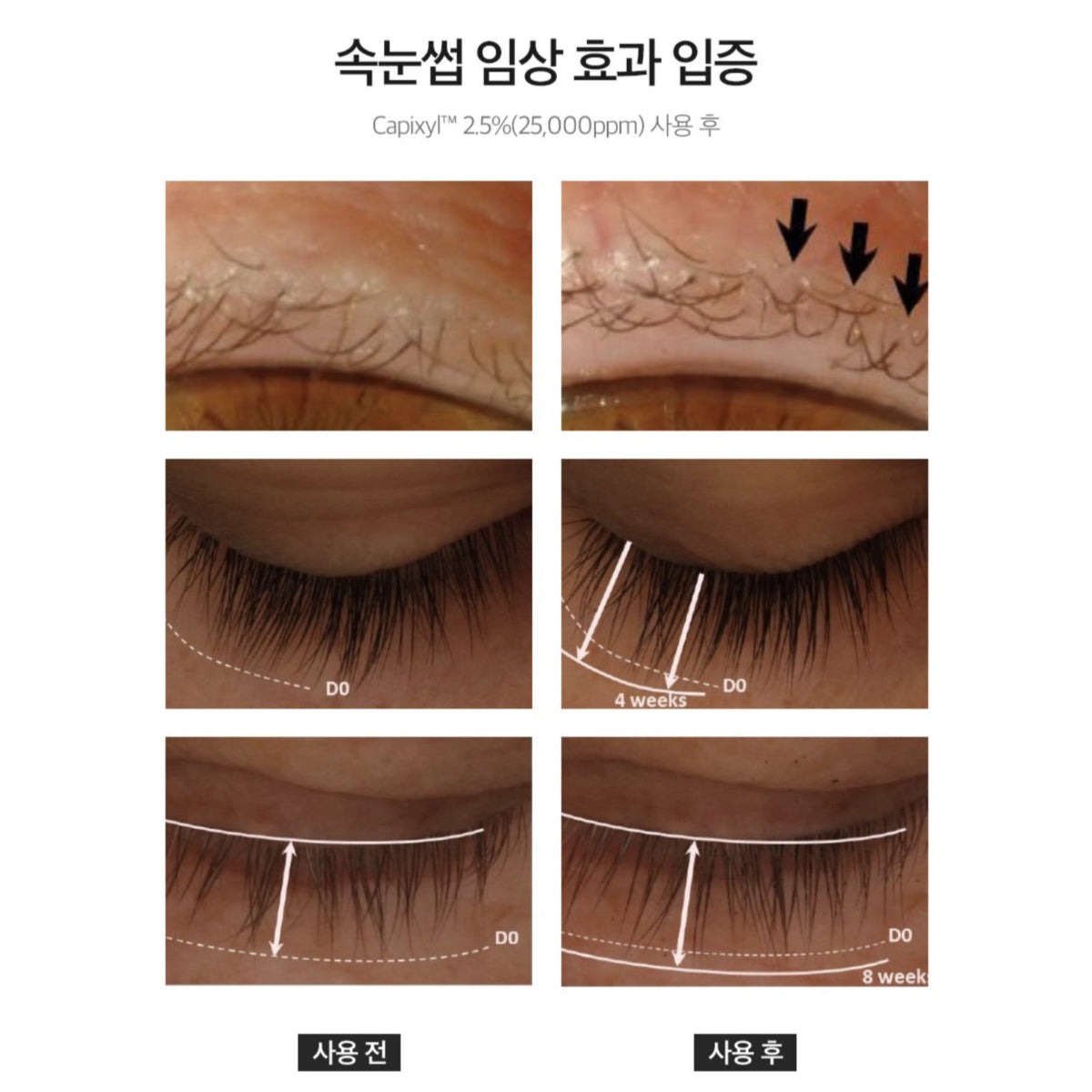 Derma Factory Peptide Eyelash Ampoule 8.5ml Eyelash Nutrition Elasticity Biotin Caffeine Brewer's Yeast Hypoallergenic / from Seoul, Korea