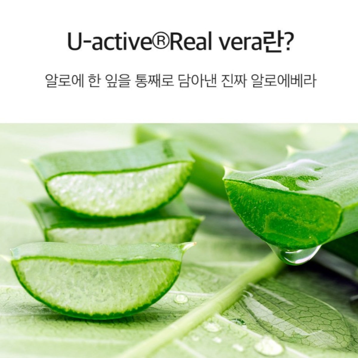 Derma Factory Real Vera Pore Serum 30ml Bifida Fermented Niacinamide Adenosine Elasticity Brightening / from Seoul, Korea