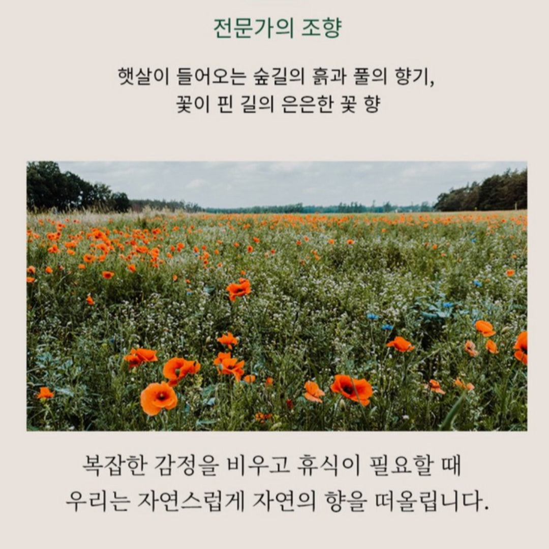 [AROMANG] Minyak Pelangsing 100ml Pijat Tubuh Gua Sha Minyak Esensial Aromaterapi K-beauty / dari Seoul, Korea