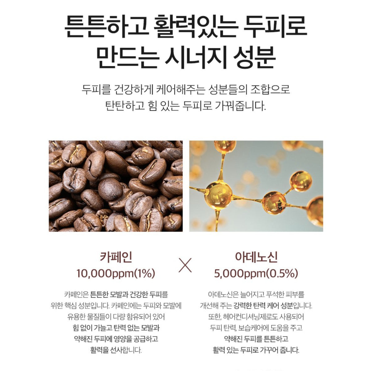 Derma Factory Anti Hair Loss Scalp Tonic 100ml Brewer's Yeast Caffeine Adenosine / from Seoul, Korea